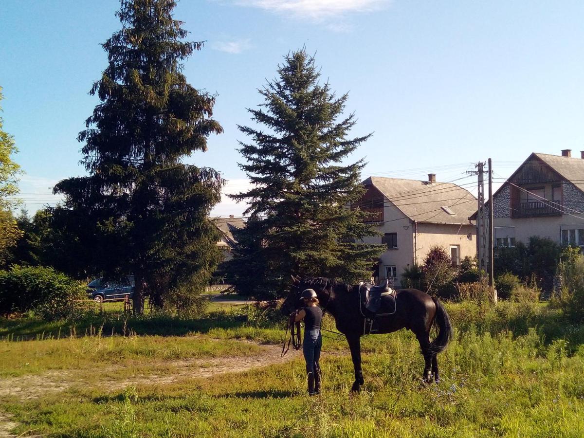 Fenyofa Vendeghaz Hotel Szilvásvárad Buitenkant foto